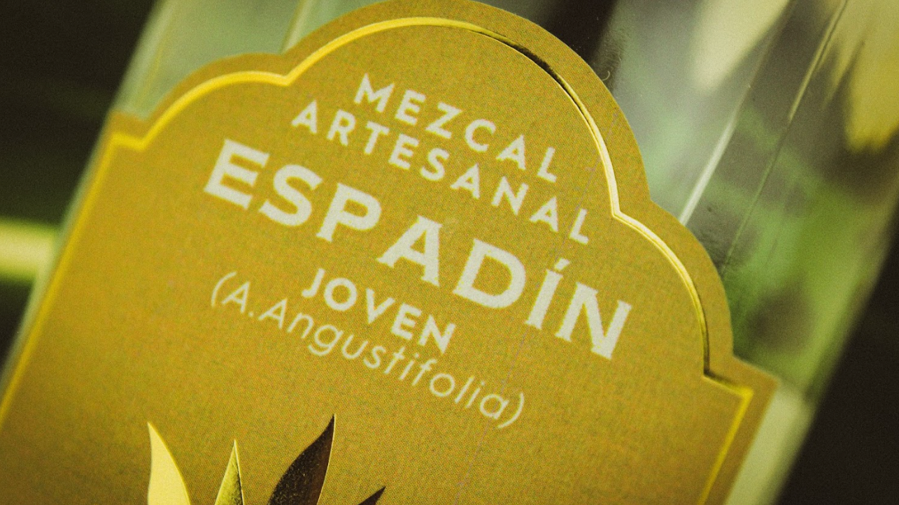 Espadín