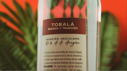 Tobalá