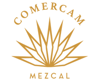 Logo del footer